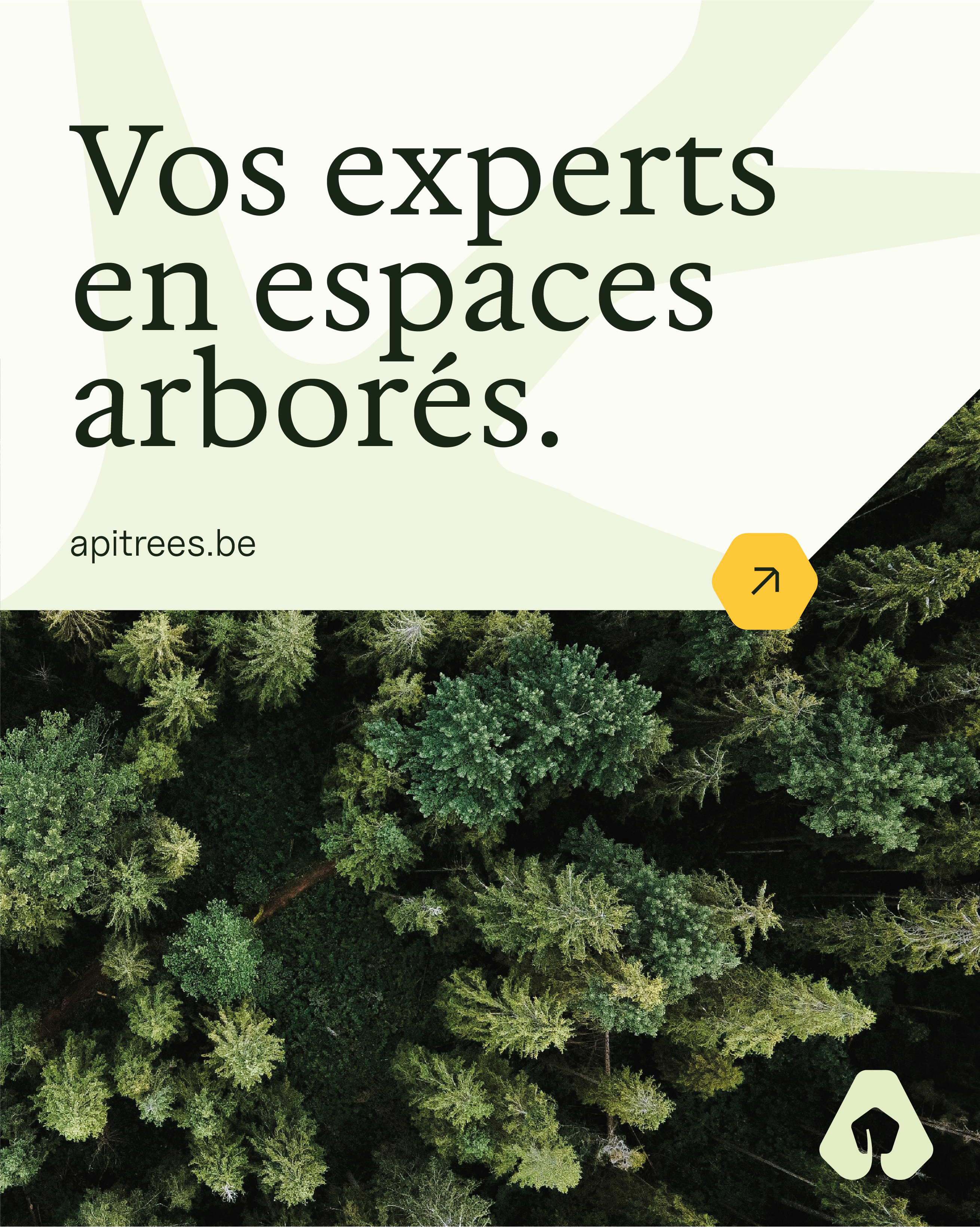 Apitrees brand preview